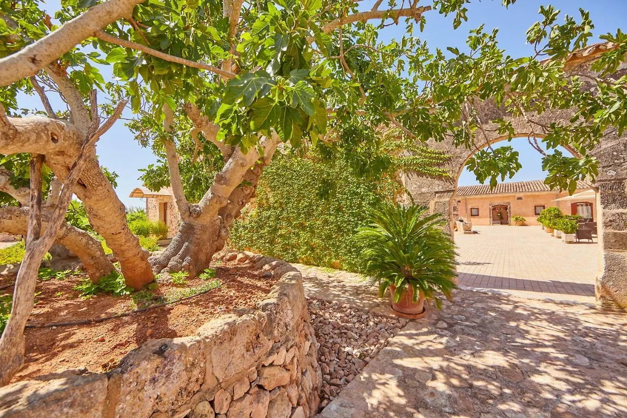 ****  Bennoc Petit Hotel - Only Adults Llucmajor  Spain